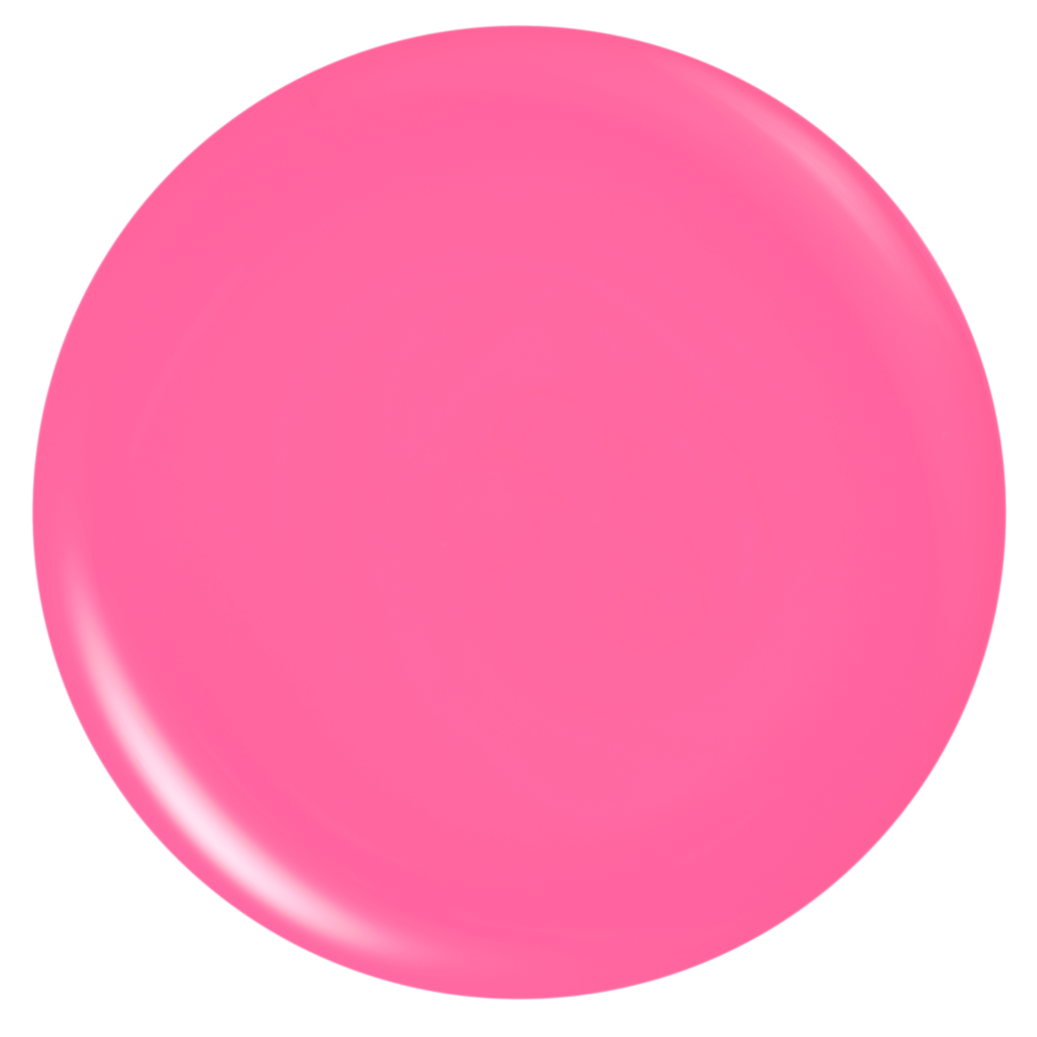 plant based gel polish - what's the t