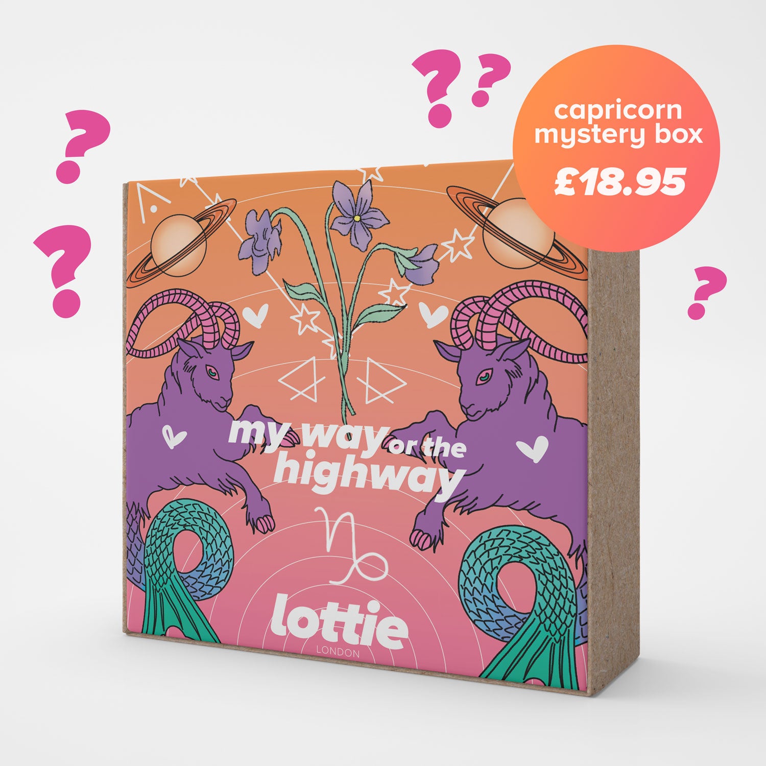 my way or the highway - capricorn mystery box